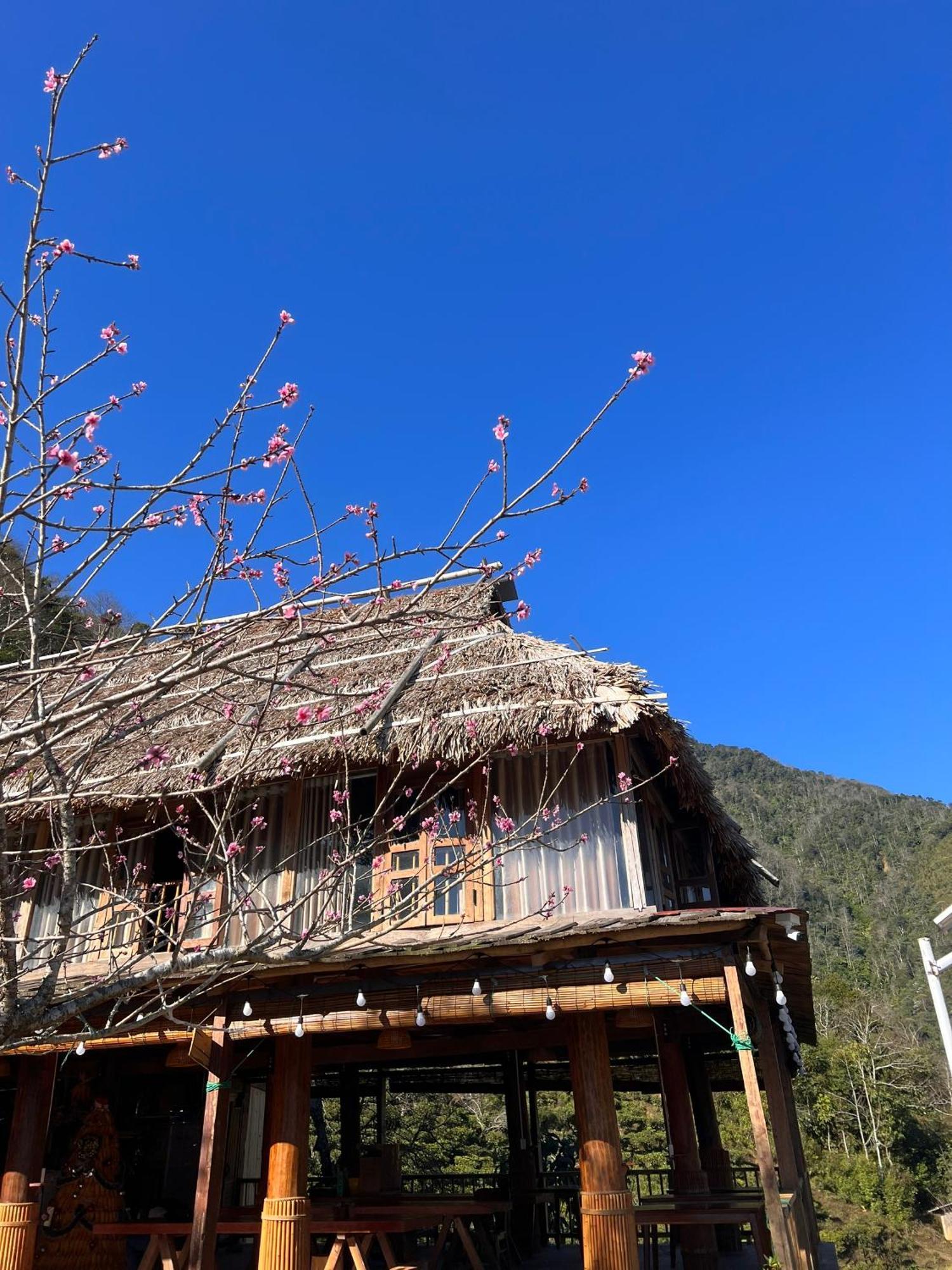 Ta Xua Ecolodge Bac Yen 外观 照片